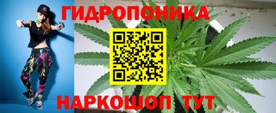 мет Дубна
