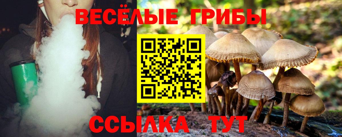 Псилоцибиновые грибы мицелий  Псилоцибиновые грибы MAGIC MUSHROOMS  Вход с VPN  Магадан 
